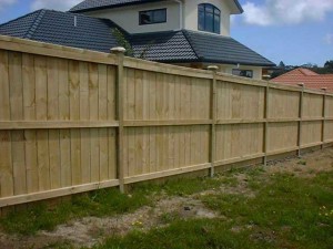 product2-80-Inset-paling-fence-with-post-caps-B[1]